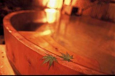фото отеля Shima Onsen Kashiwaya Ryokan