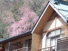 фото отеля Shima Onsen Kashiwaya Ryokan