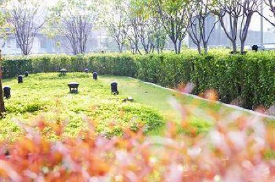 фото отеля Viva Garden