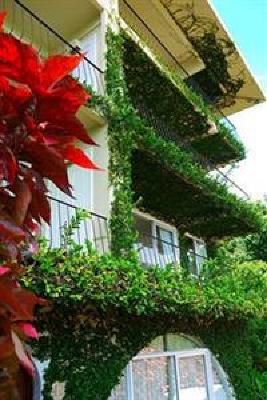 фото отеля Hotel La Mariposa
