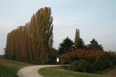 фото отеля Agriturismo La Guarda