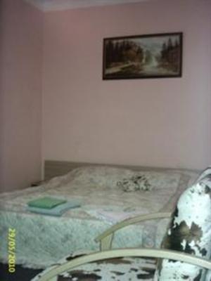 фото отеля Funny Dolphin hostel
