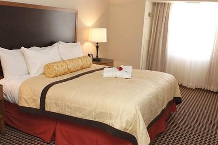 фото отеля Embassy Suites Detroit Metro Airport