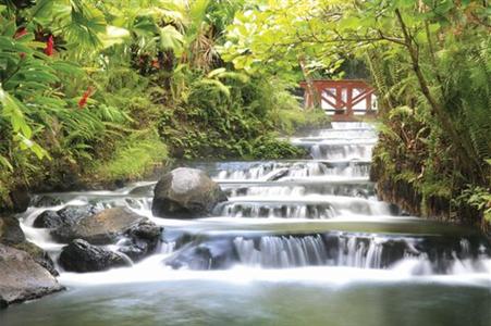 фото отеля Tabacon Grand Spa Thermal Resort