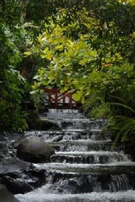 фото отеля Tabacon Grand Spa Thermal Resort
