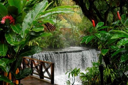 фото отеля Tabacon Grand Spa Thermal Resort