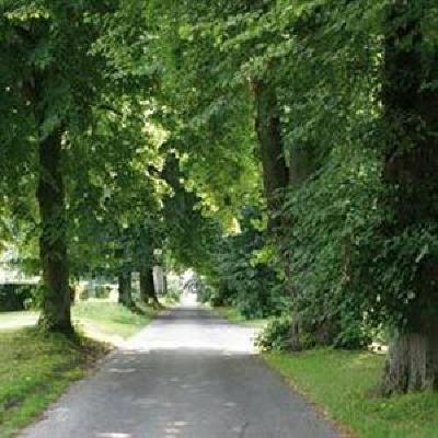 фото отеля Hindsgavl Slot