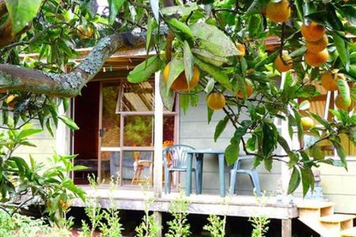 фото отеля Kerikeri Farm Hostel
