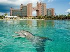 фото отеля Atlantis - Royal Towers