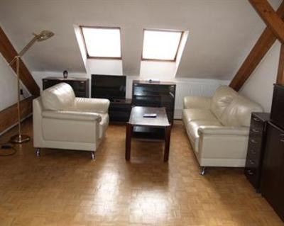 фото отеля Hotel Bila Ruze Strakonice