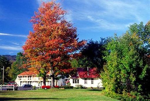 фото отеля White Mountain Motel & Cottages