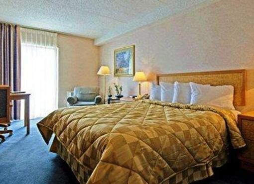 фото отеля Comfort Inn Aeroport
