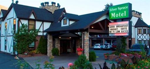 фото отеля Silver Spruce Motel
