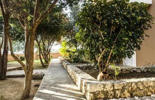 фото отеля Olive Grove Studios Apartments