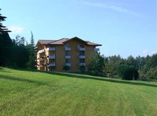фото отеля Hotel Al Larice