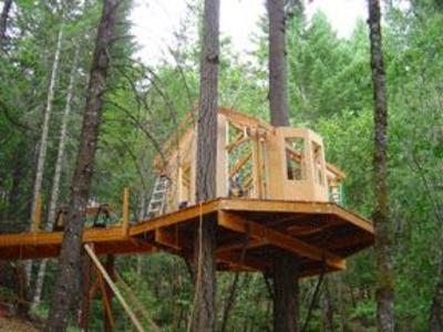 фото отеля Vertical Horizons Treehouse Paradise