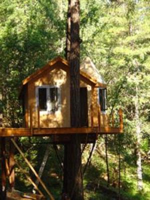 фото отеля Vertical Horizons Treehouse Paradise