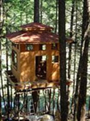 фото отеля Vertical Horizons Treehouse Paradise