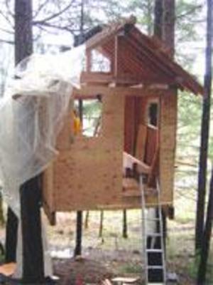 фото отеля Vertical Horizons Treehouse Paradise