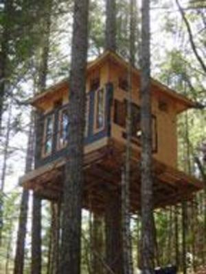 фото отеля Vertical Horizons Treehouse Paradise