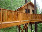 фото отеля Vertical Horizons Treehouse Paradise