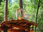 фото отеля Vertical Horizons Treehouse Paradise