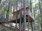 фото отеля Vertical Horizons Treehouse Paradise