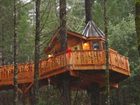 фото отеля Vertical Horizons Treehouse Paradise