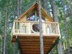 фото отеля Vertical Horizons Treehouse Paradise