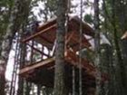 фото отеля Vertical Horizons Treehouse Paradise