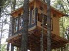 фото отеля Vertical Horizons Treehouse Paradise