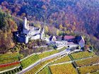 фото отеля Hotel Restaurant Burg Hornberg Neckarzimmern