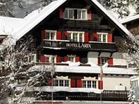 Chalet Hotel Larix Apartments