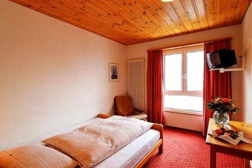 фото отеля Edelweiss Hotel Murren