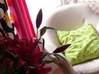 фото отеля Snooze