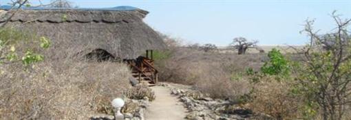 фото отеля Manyara Wildlife Safari Camp