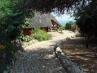 фото отеля Manyara Wildlife Safari Camp