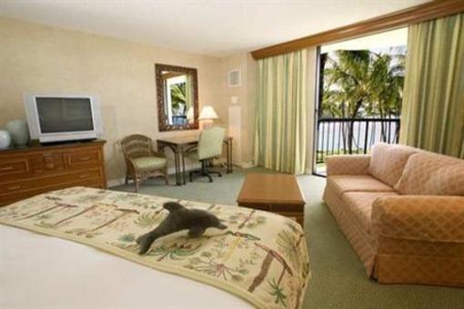 фото отеля Hilton Waikoloa Village