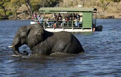 фото отеля Chobe Marina Lodge