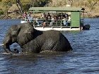 фото отеля Chobe Marina Lodge