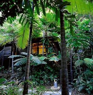 фото отеля Cape Tribulation Resort & Spa