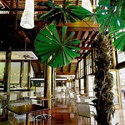 фото отеля Cape Tribulation Resort & Spa