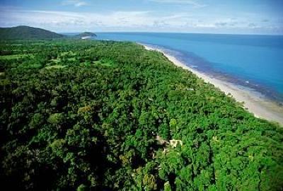 фото отеля Cape Tribulation Resort & Spa