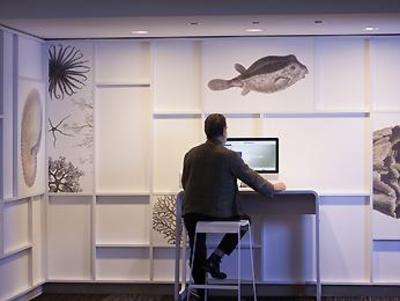 фото отеля Novotel Dinard