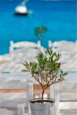 фото отеля Aphrodite Beach