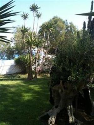 фото отеля Aphrodite Beach