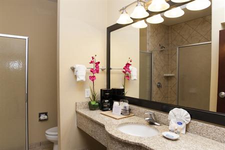 фото отеля BEST WESTERN Plus Duncanville/Dallas