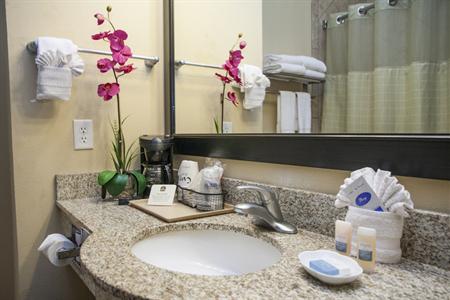 фото отеля BEST WESTERN Plus Duncanville/Dallas