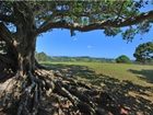 фото отеля SummerHills Retreat Byron Bay