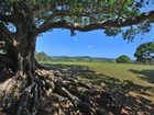 фото отеля SummerHills Retreat Byron Bay
